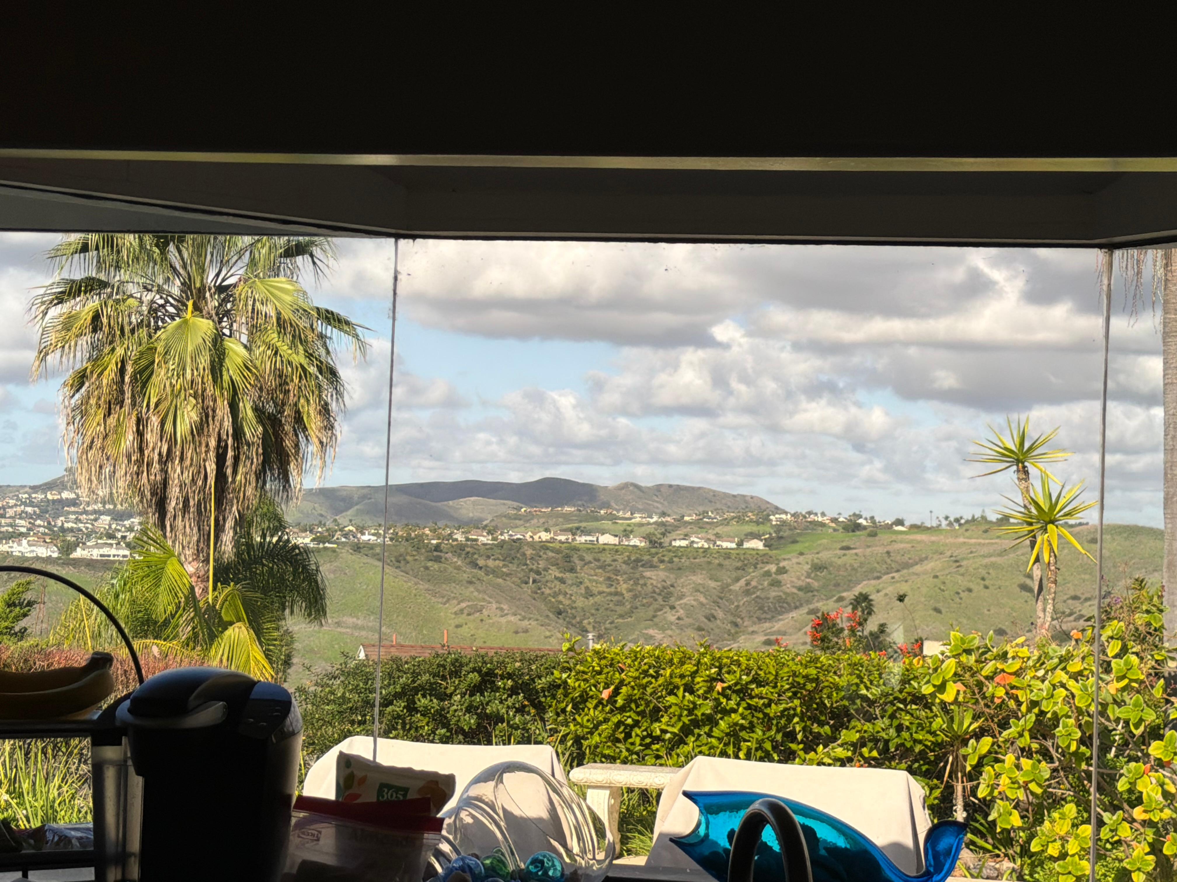 View from kitchen window. 