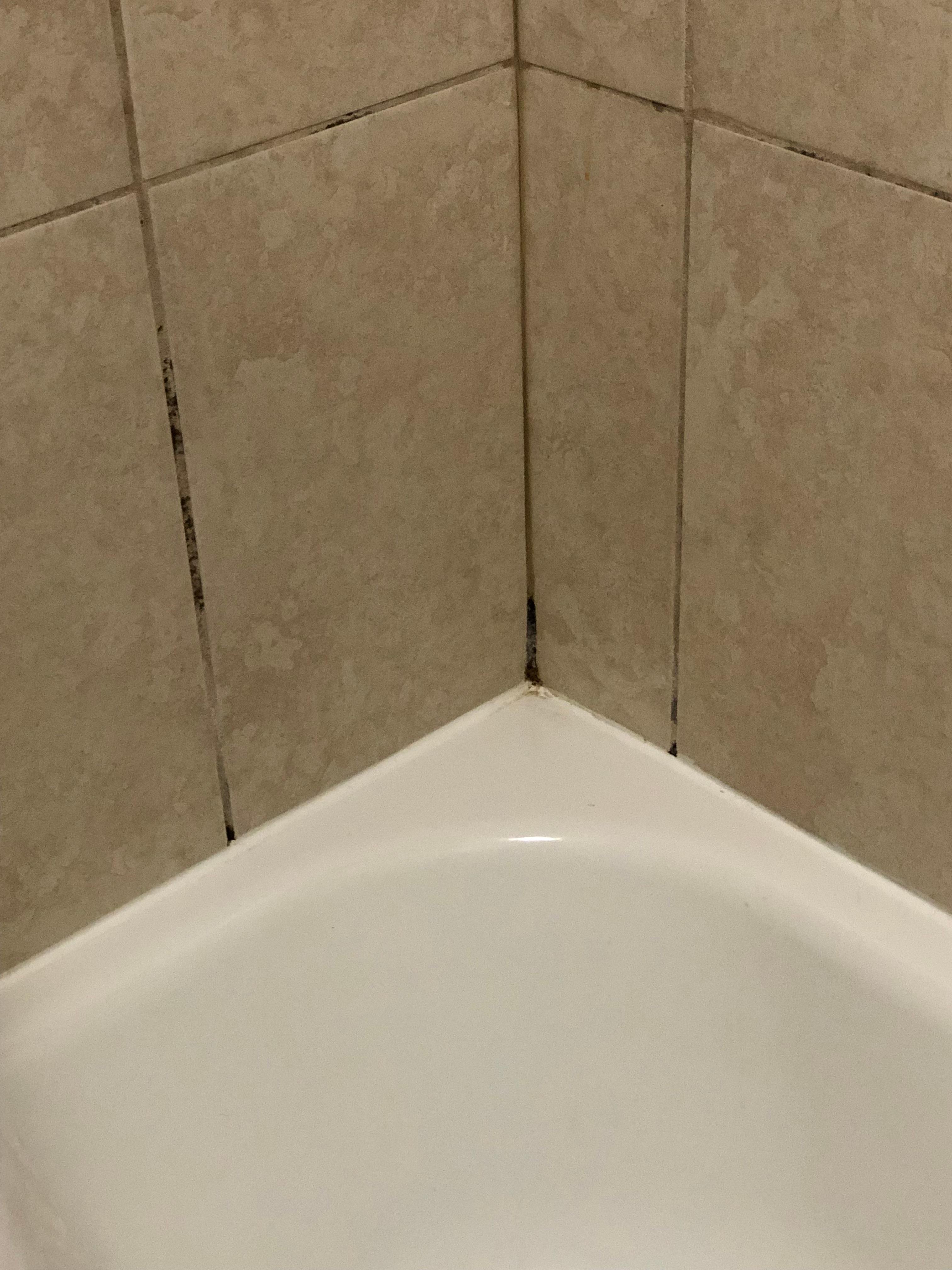 Mold