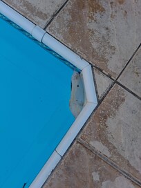 Pool lining coming away
