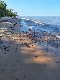 Rock hunting