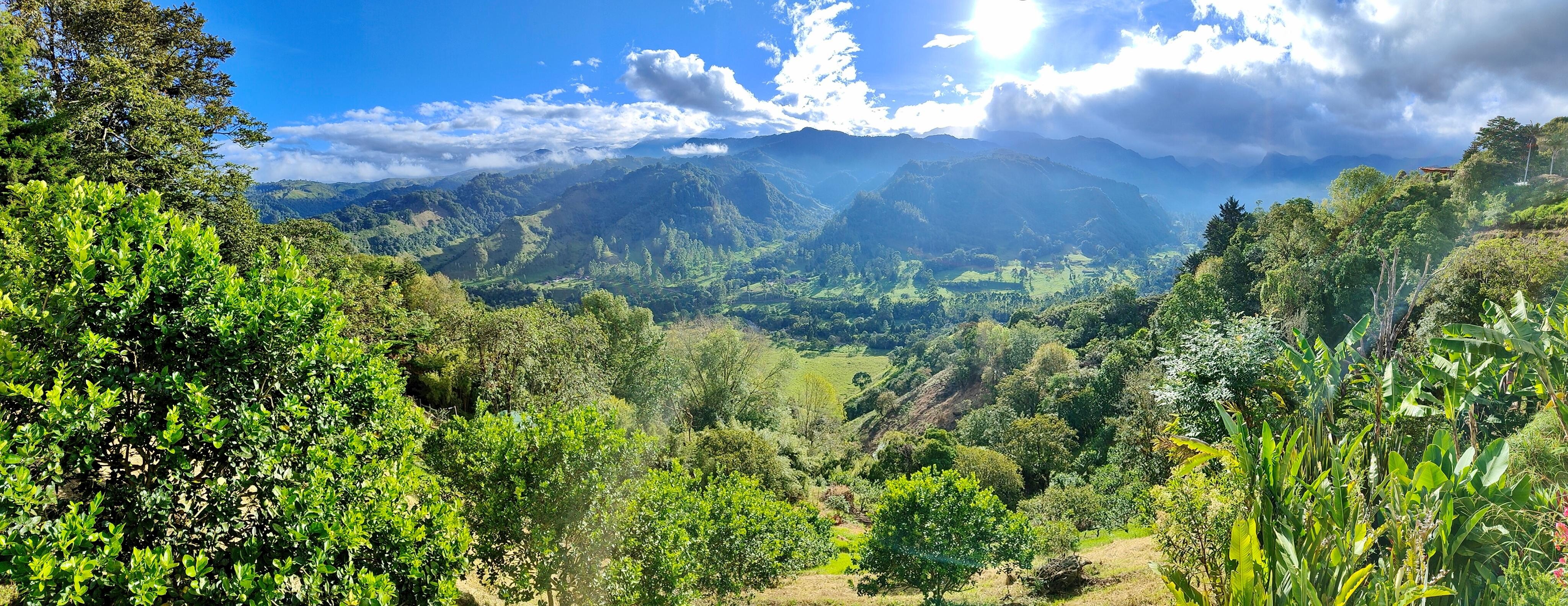 View from the bedroom and balcony