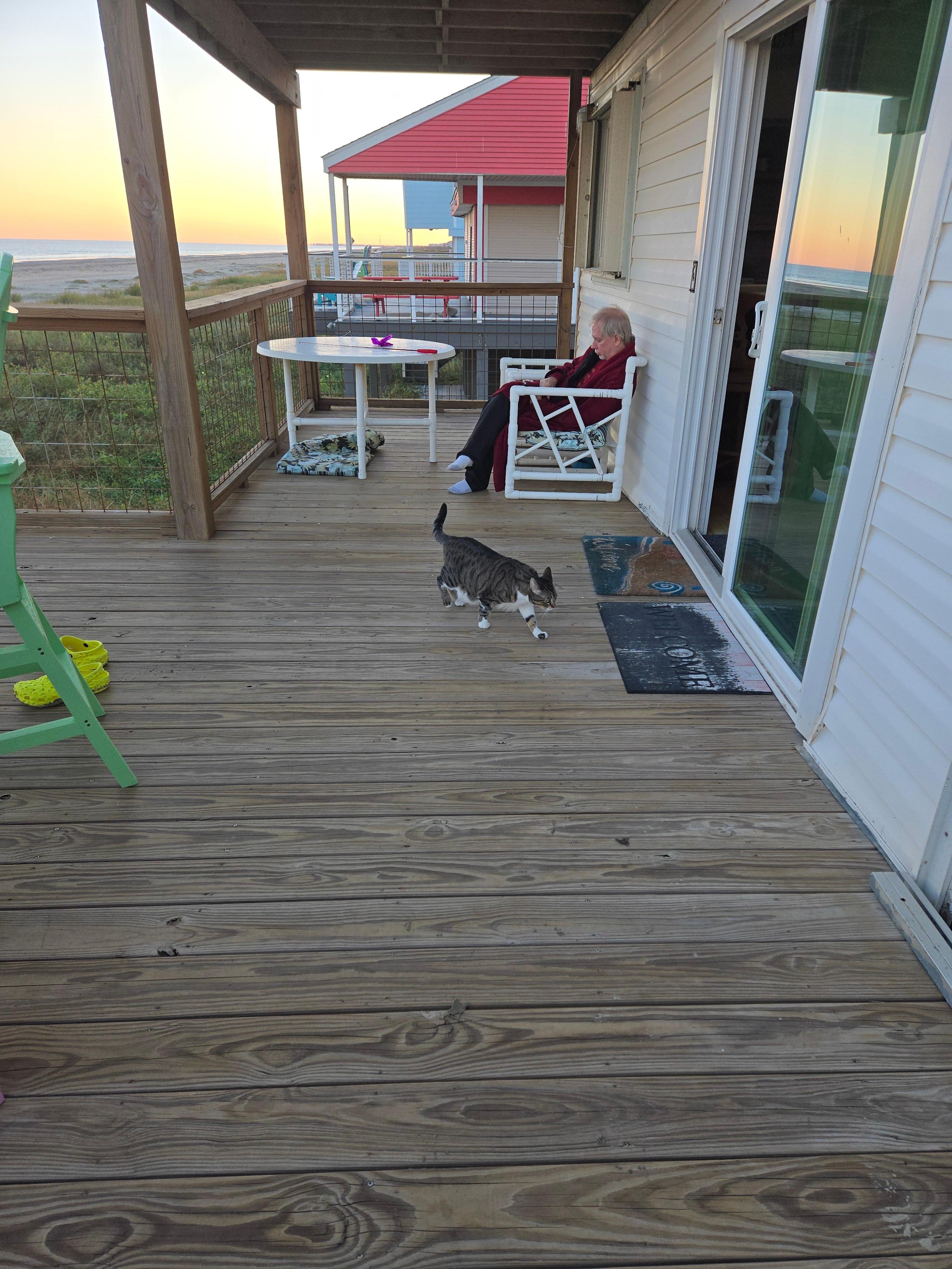 Our cat enjoying the deck