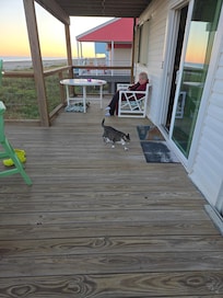 Our cat enjoying the deck