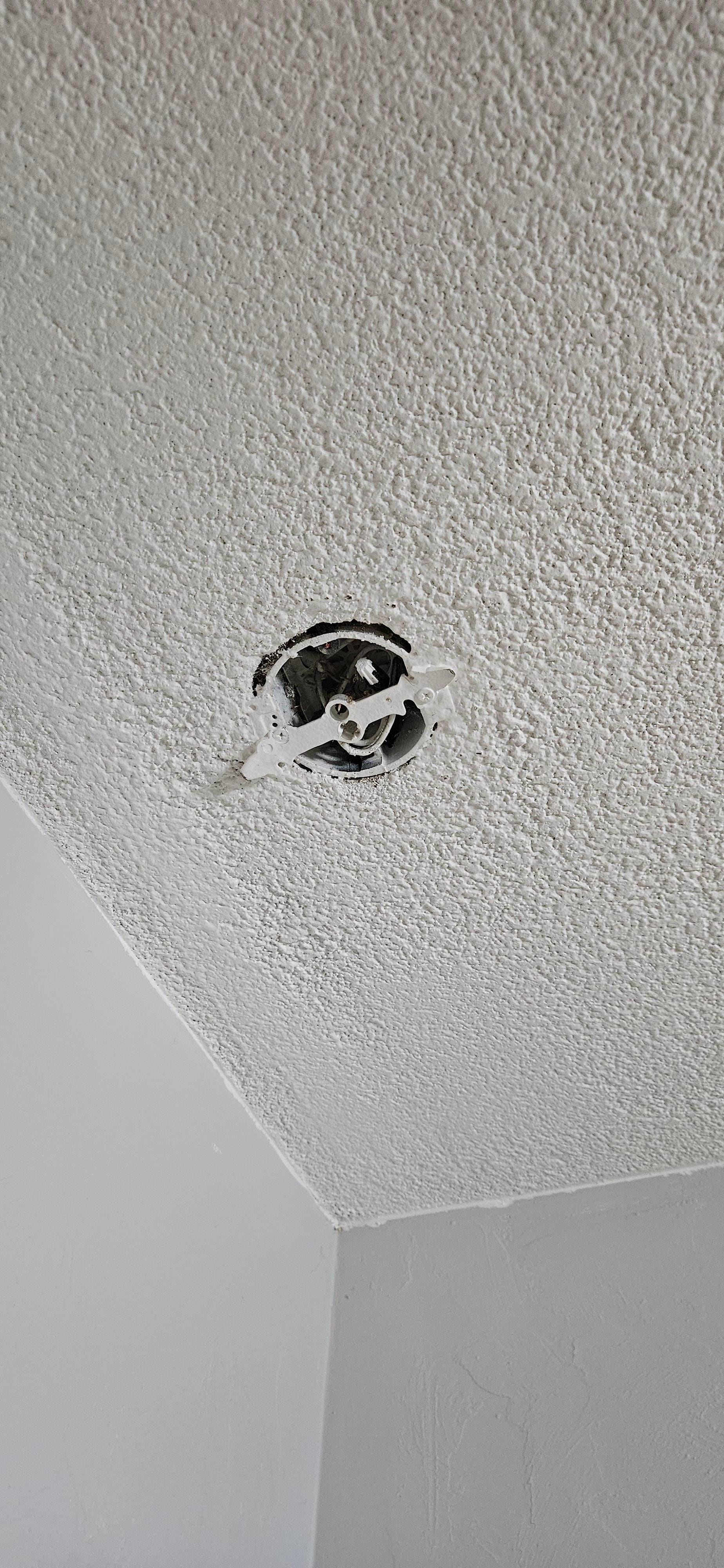 Open faced electrical box with exposed capped wires.