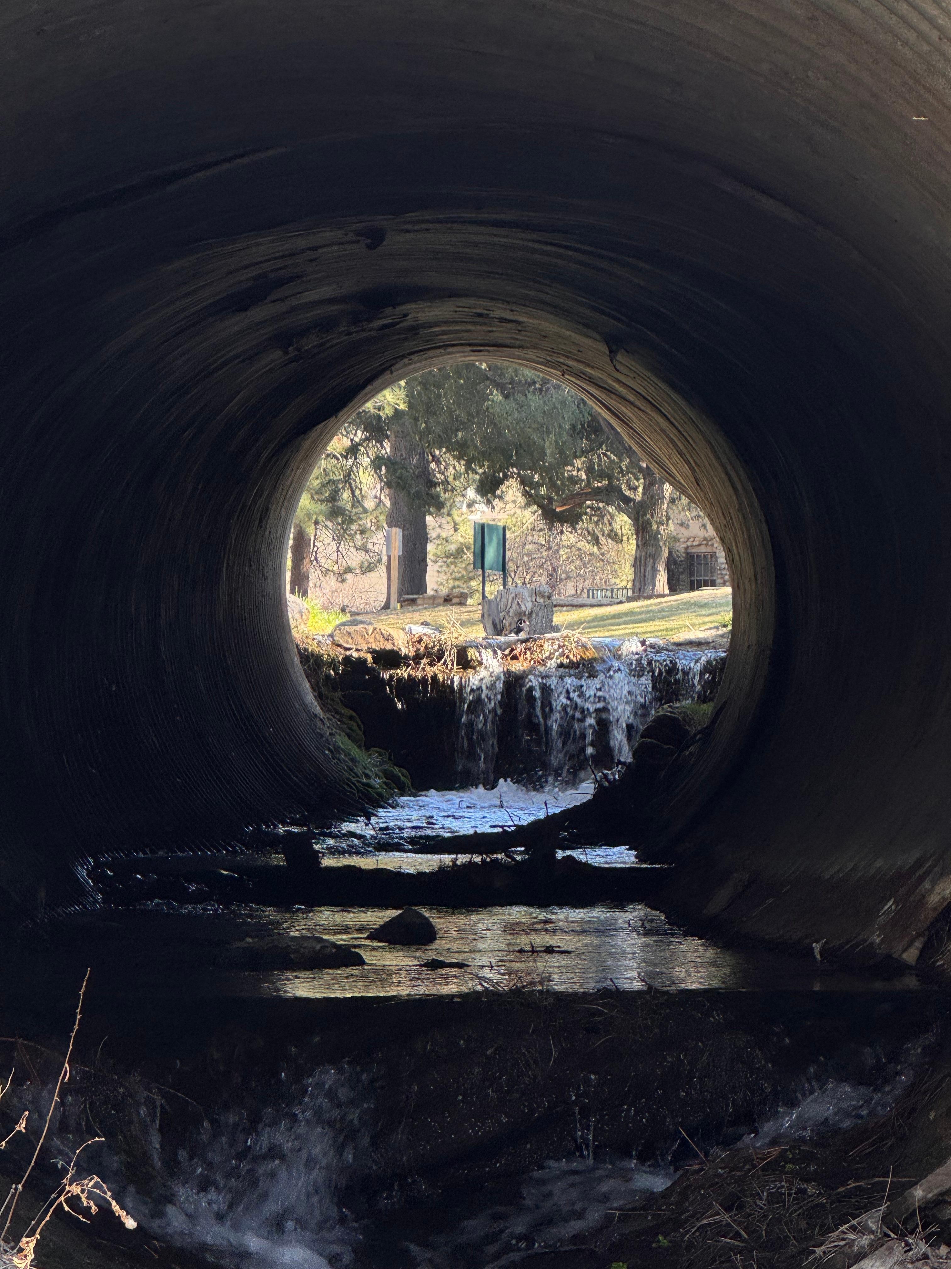 Small creek running beside the condo