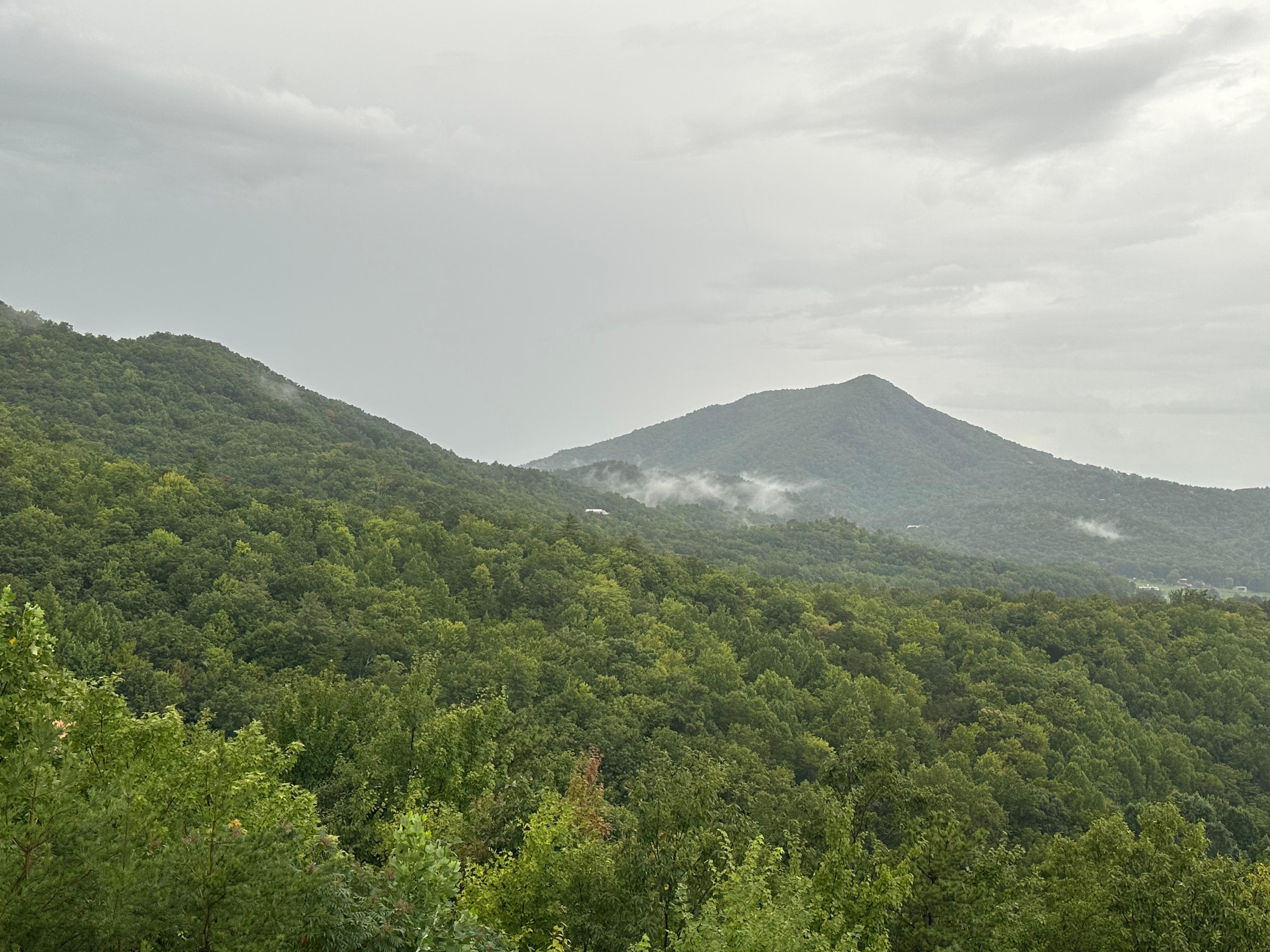 Morning view with coffee on the porch 