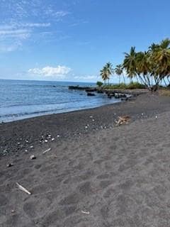 Black sand beach near home