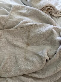 Clean towel 2