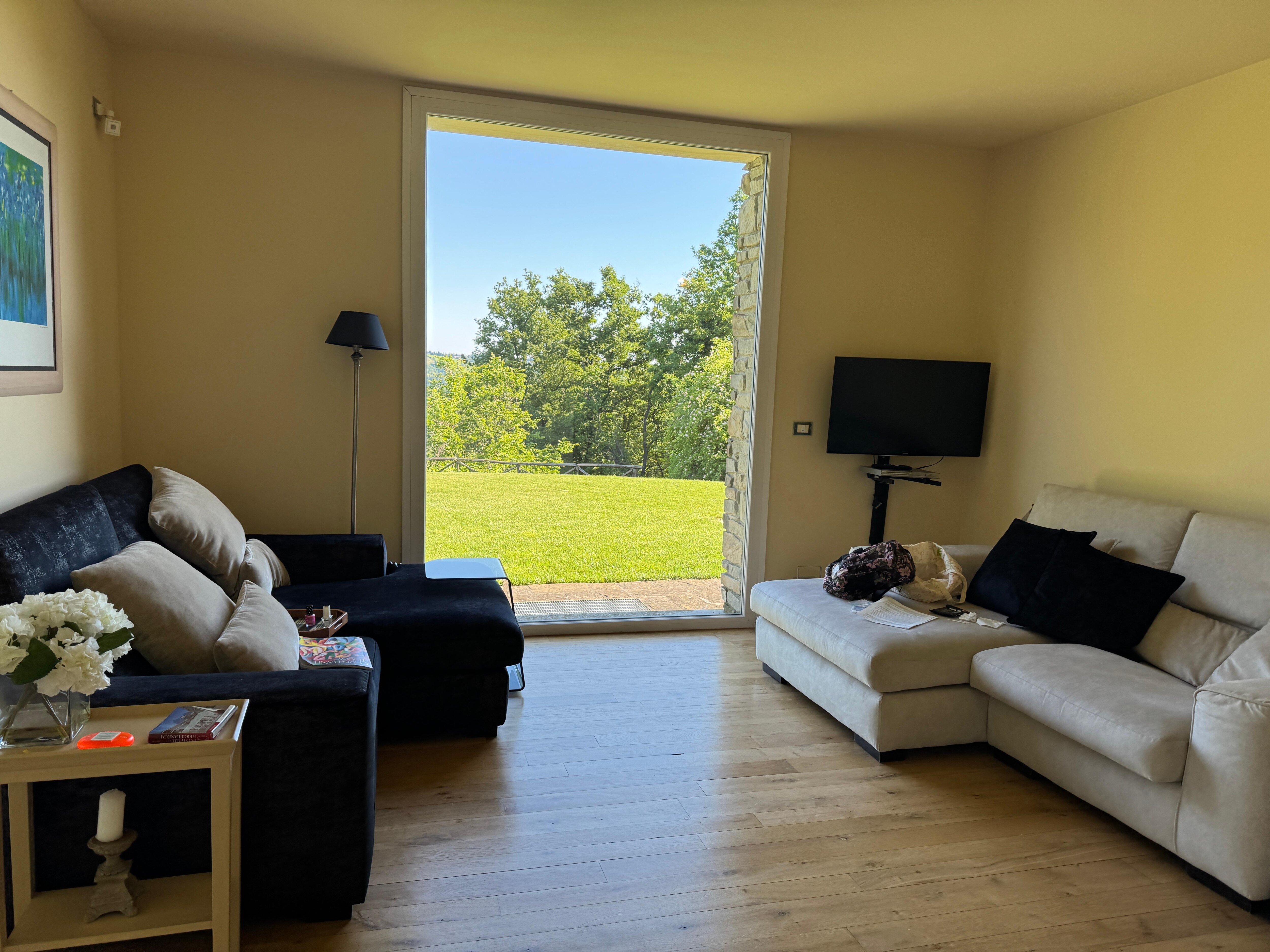 Couches are stylish AND comfy; fantastic living room! 