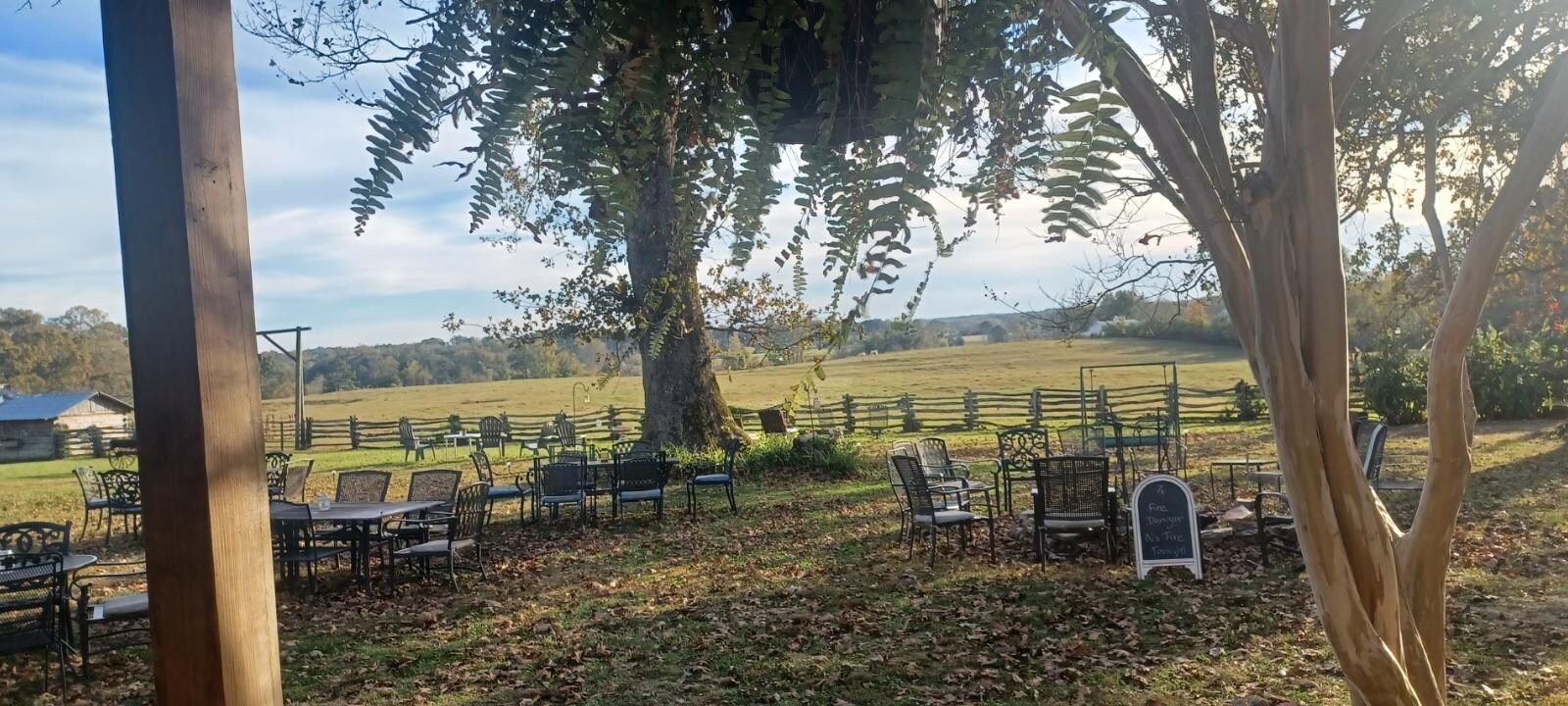 View from the back porch