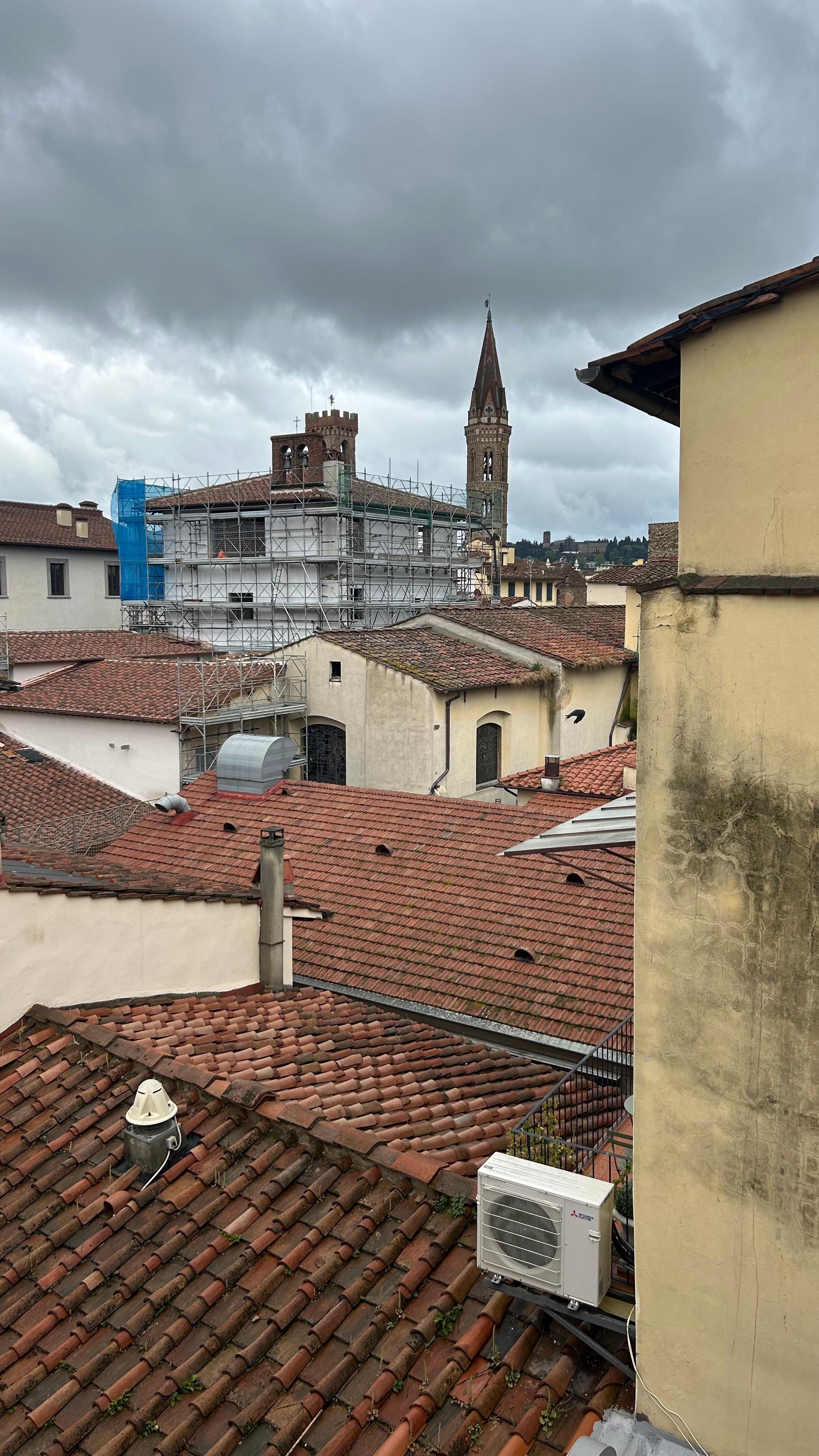 View from the living room window