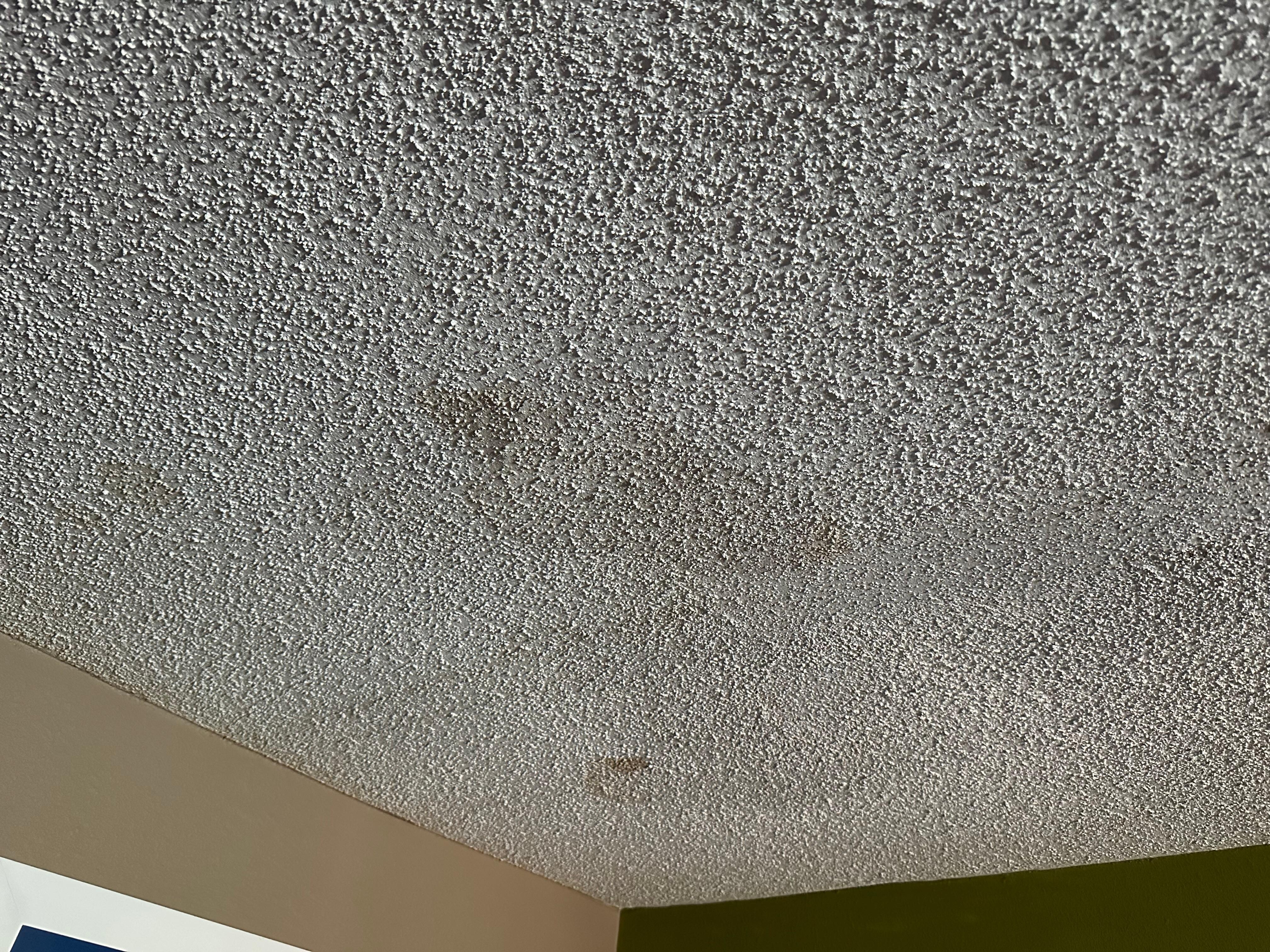 The ceiling has multiple water marks in is cracking
