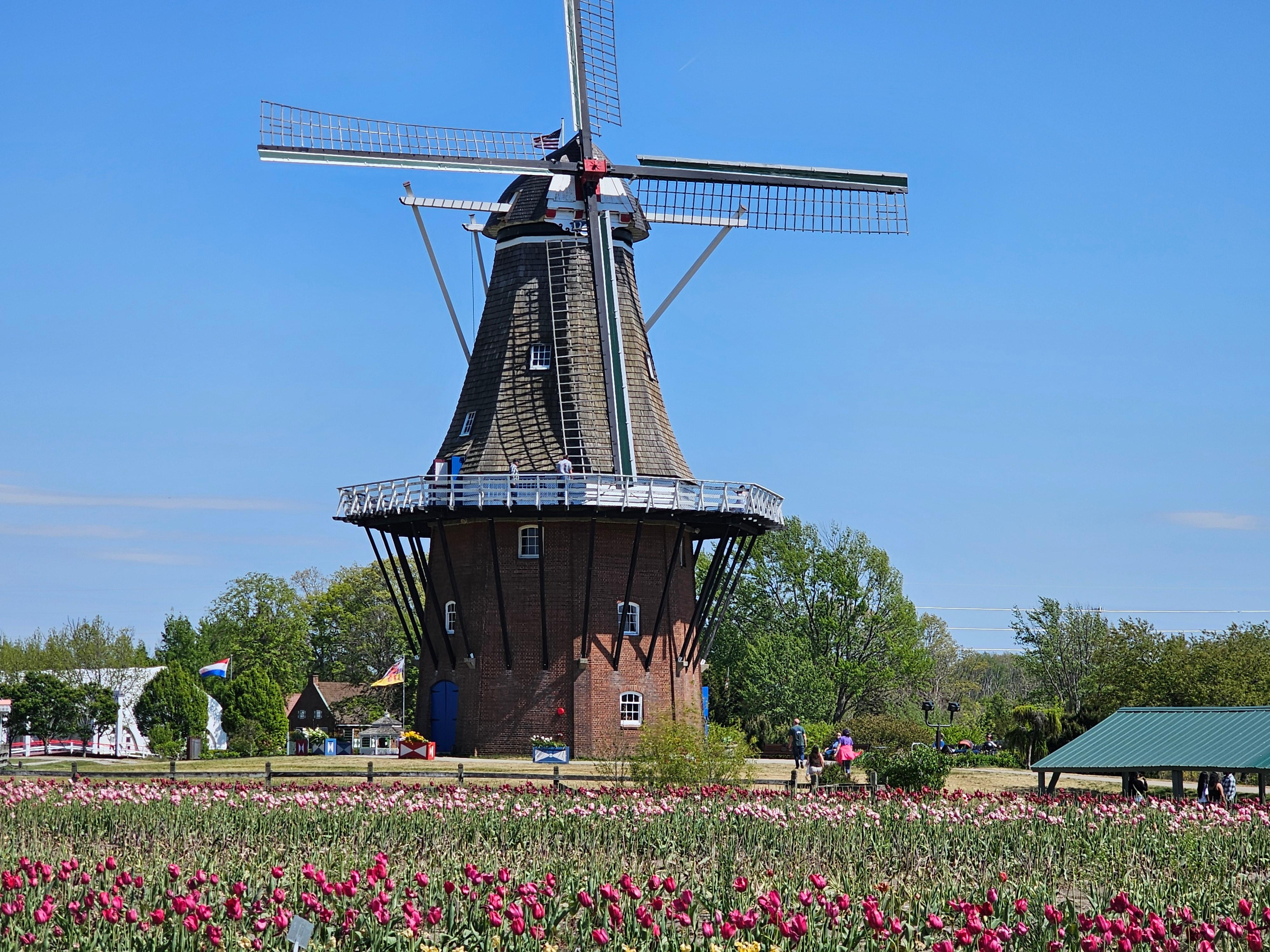 Windmill Park is less than  10 minutes away by car.