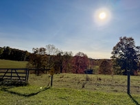 Beautiful trees and pond coming into the property.