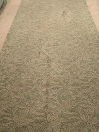 Stained carpet everywhere