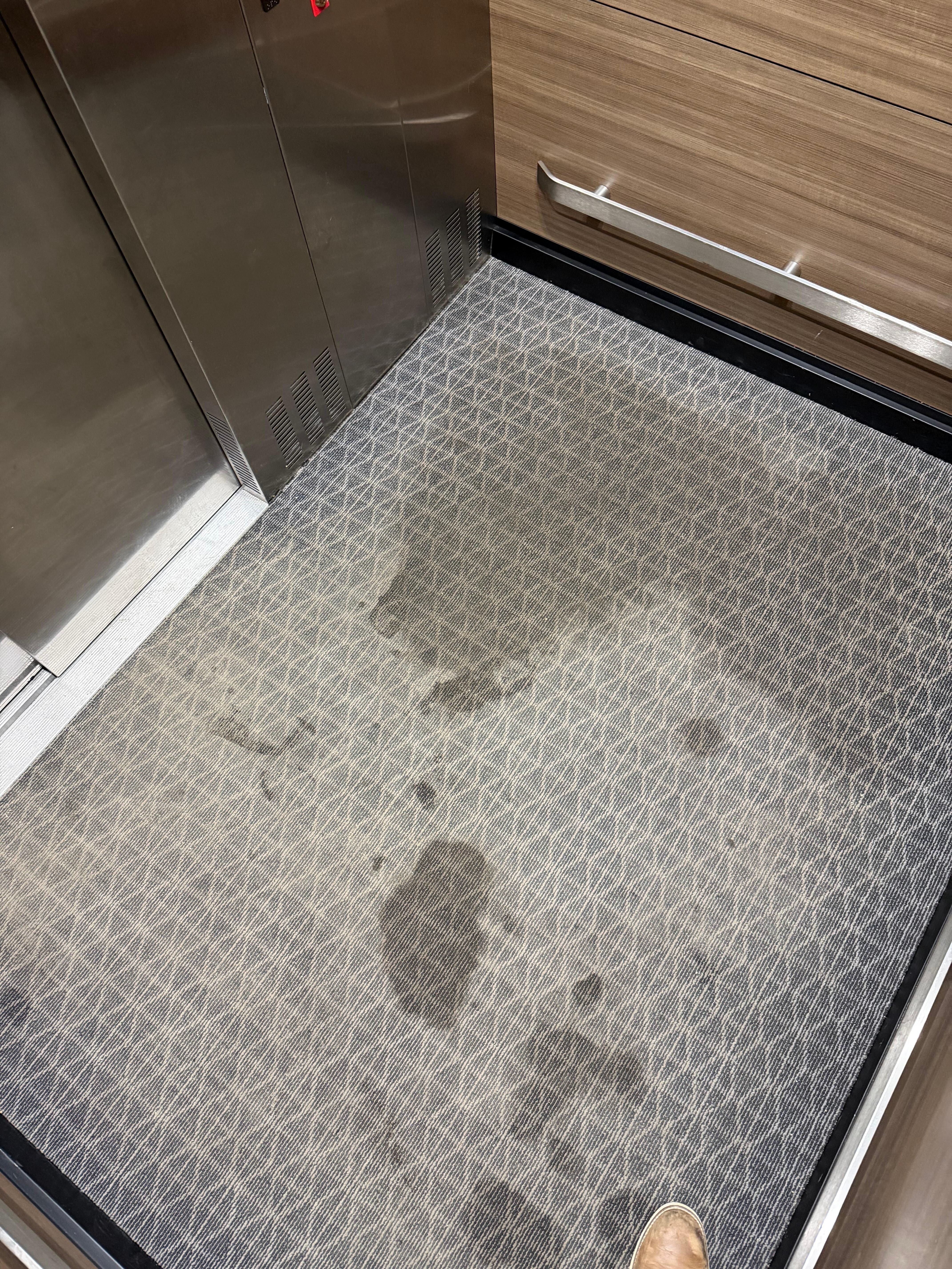 Vomit attempted to be cleaned up in elevator 