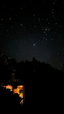 Incredible night sky stars and bird calls