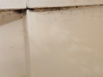 Mold in bathroom tub