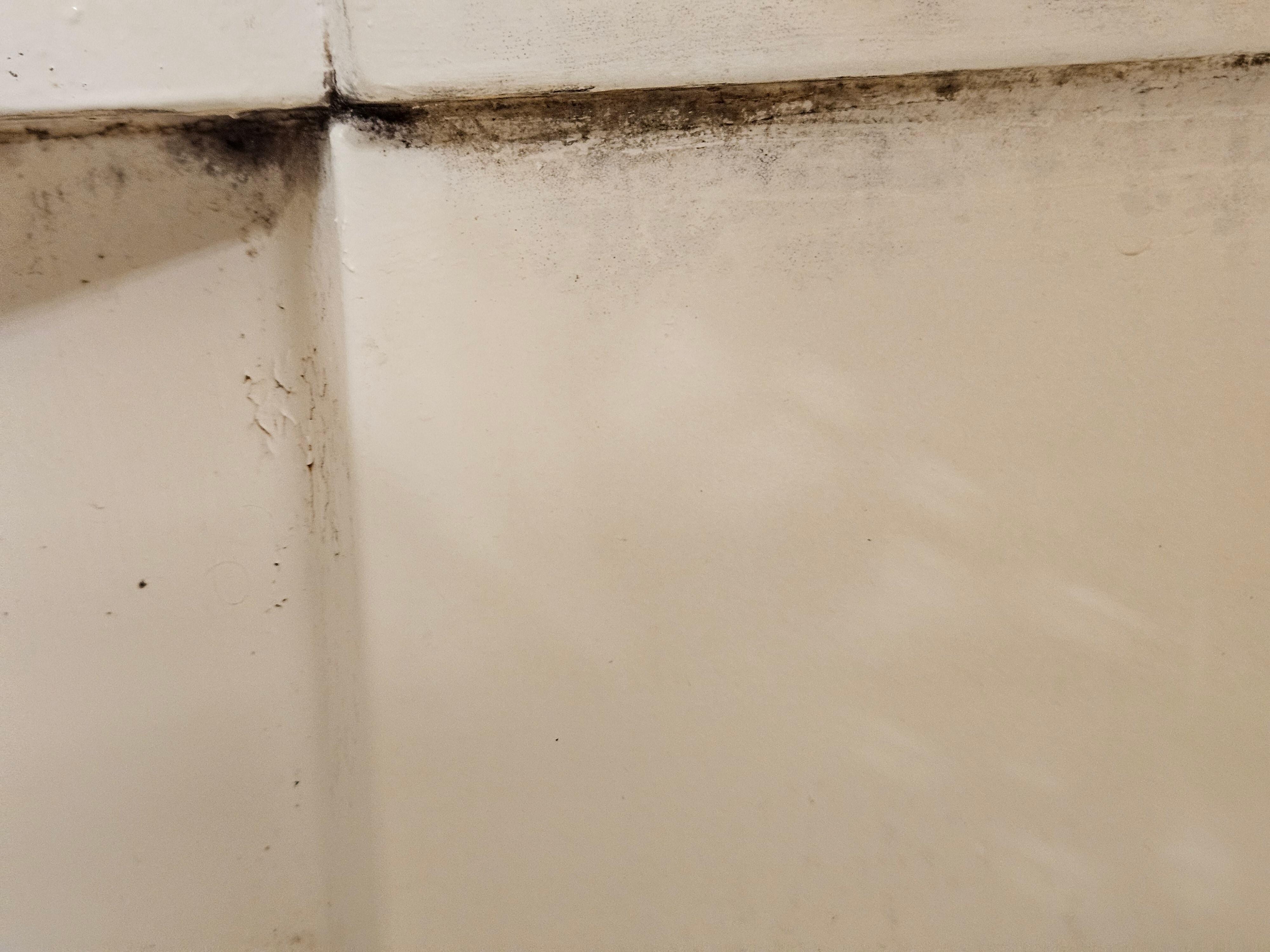 Mold in bathroom tub