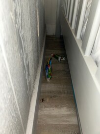 Trash leftover from previous people