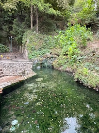 Hotsprings