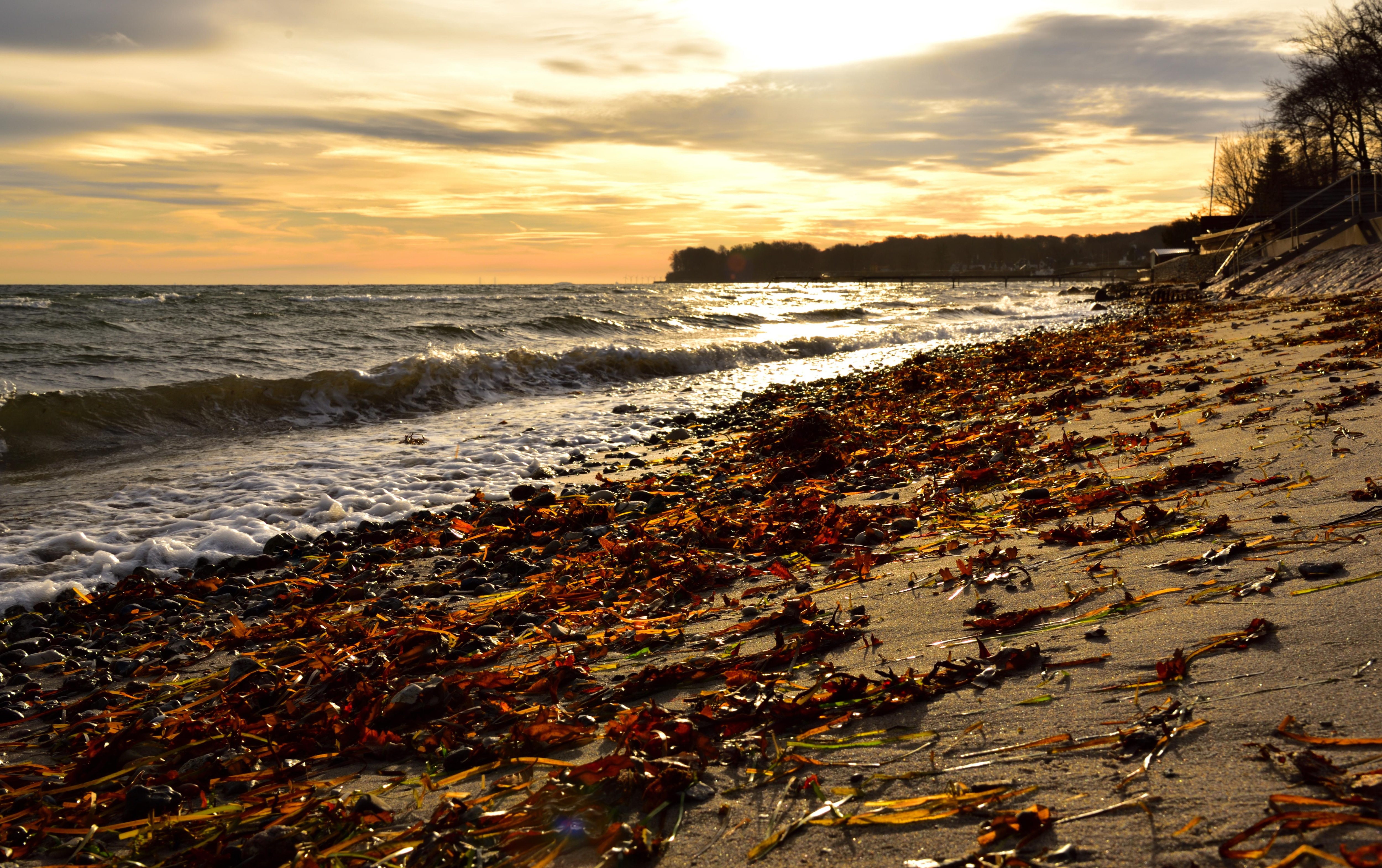 Stranden overfor hotellet på en kold december morgen 