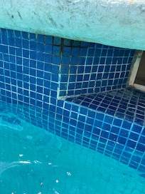 Mold in every corner of pool
