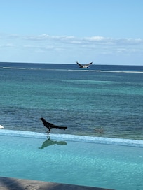 View from the roof top pool