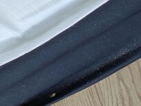 The box springs cover was filthy with all kind of stuff at least I never found a bed bug hallelujah