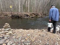 Richard ( owner ) feeding the rainbow trout in the river