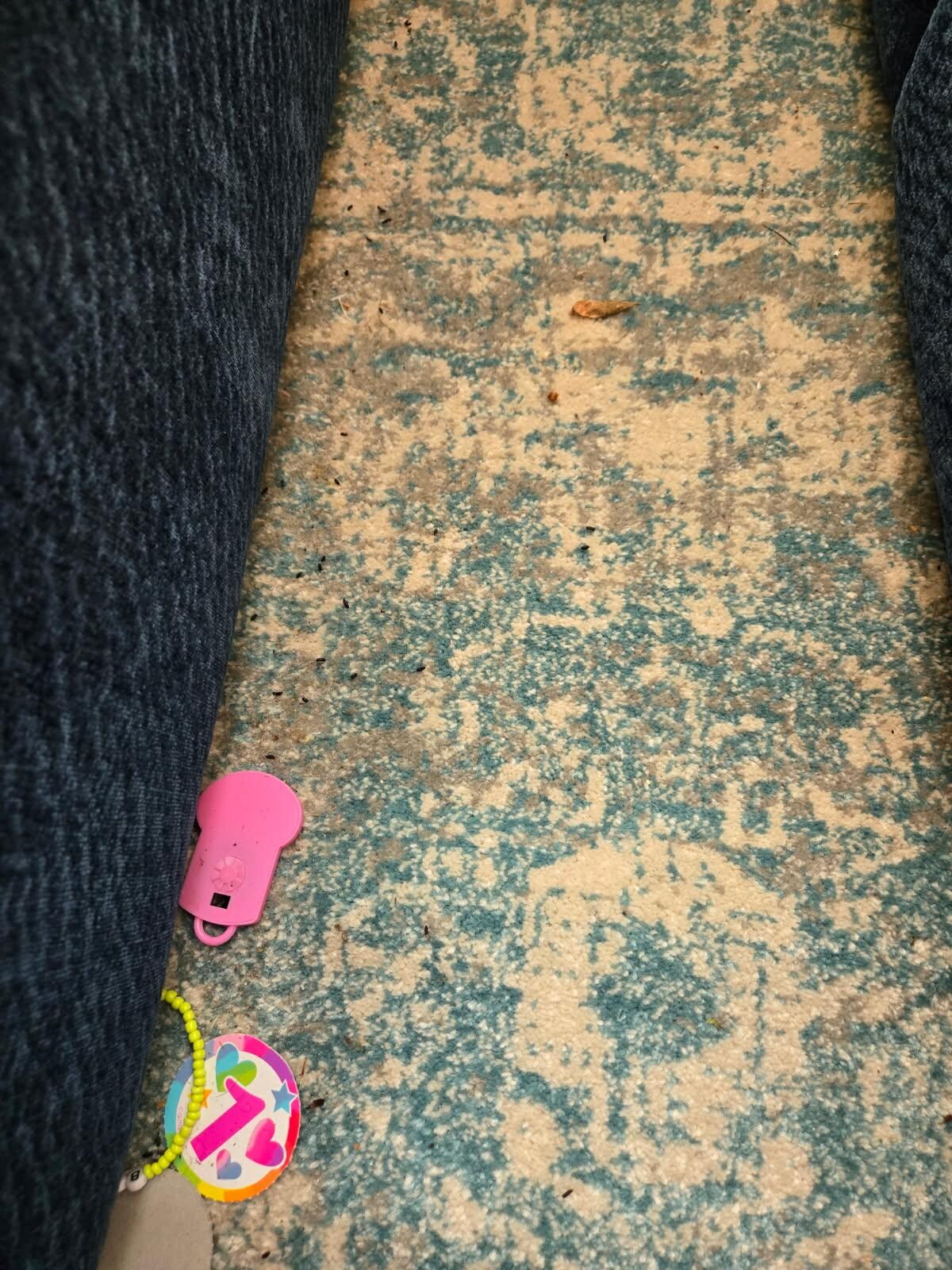 Mouse poop and items never cleaned from the group before our stay. 