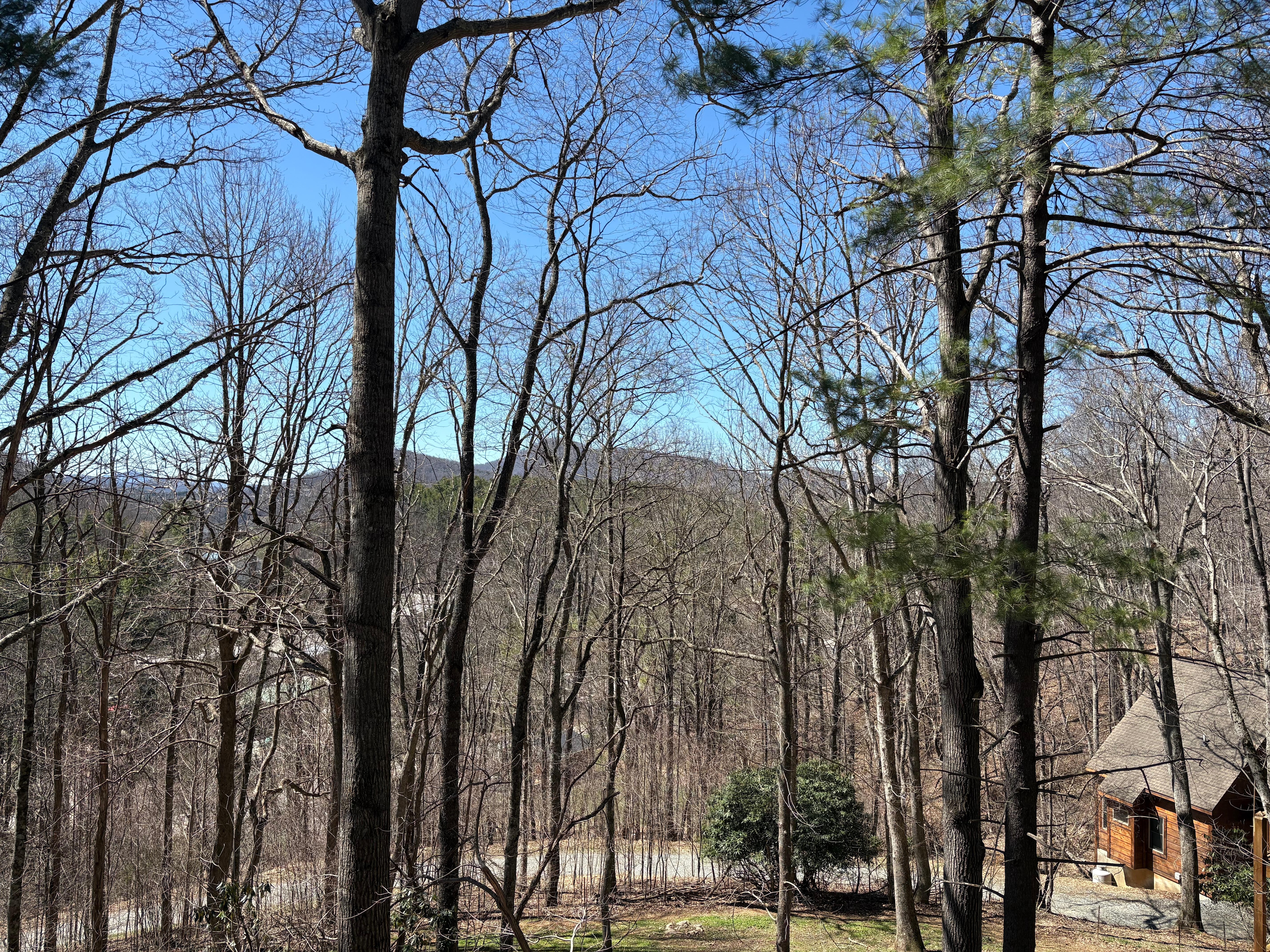 View from back of home. 