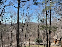 View from back of home.