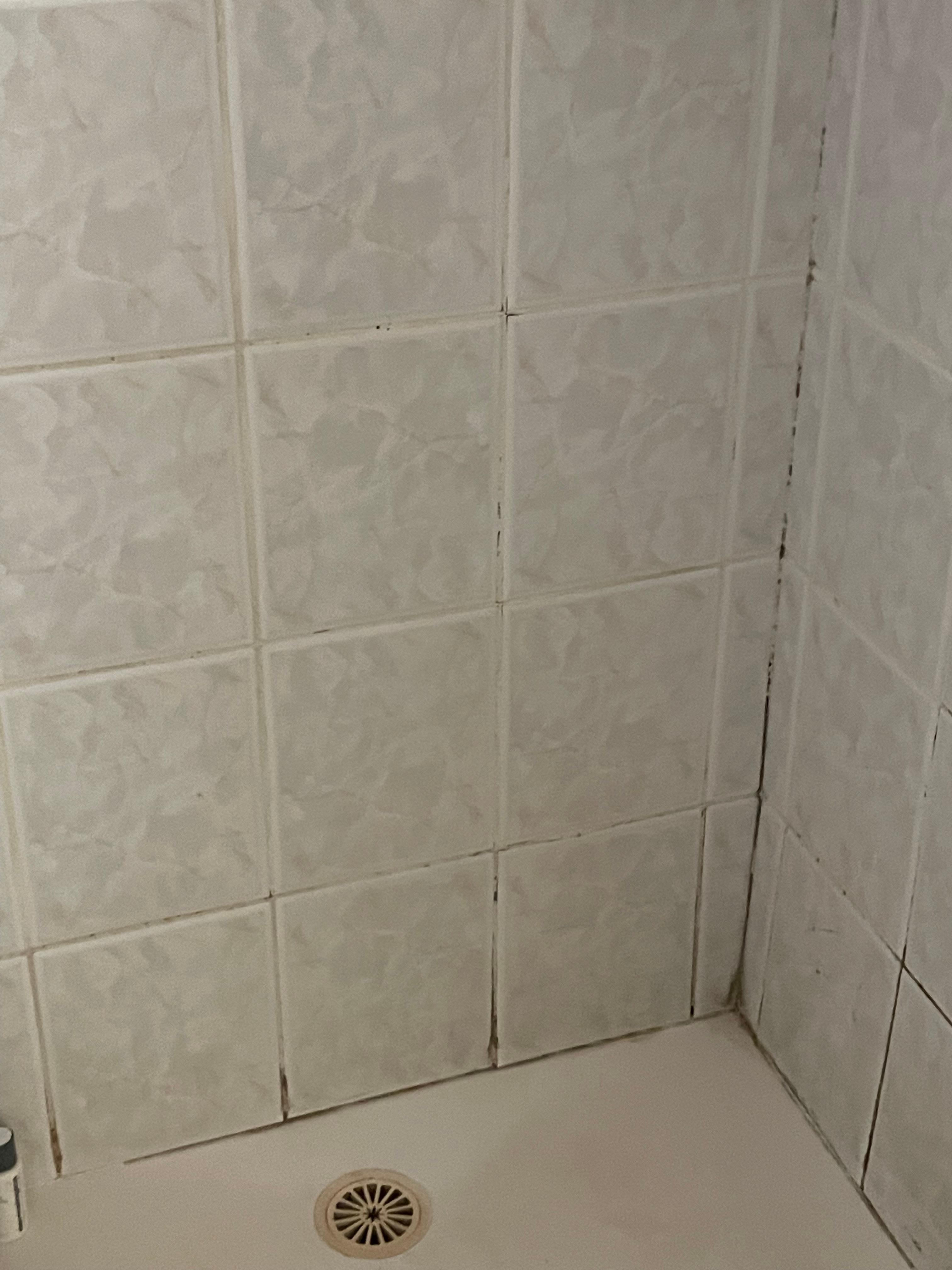 Mould ++on all the grout in downstairs bathroom. Shower also leaked onto the floor