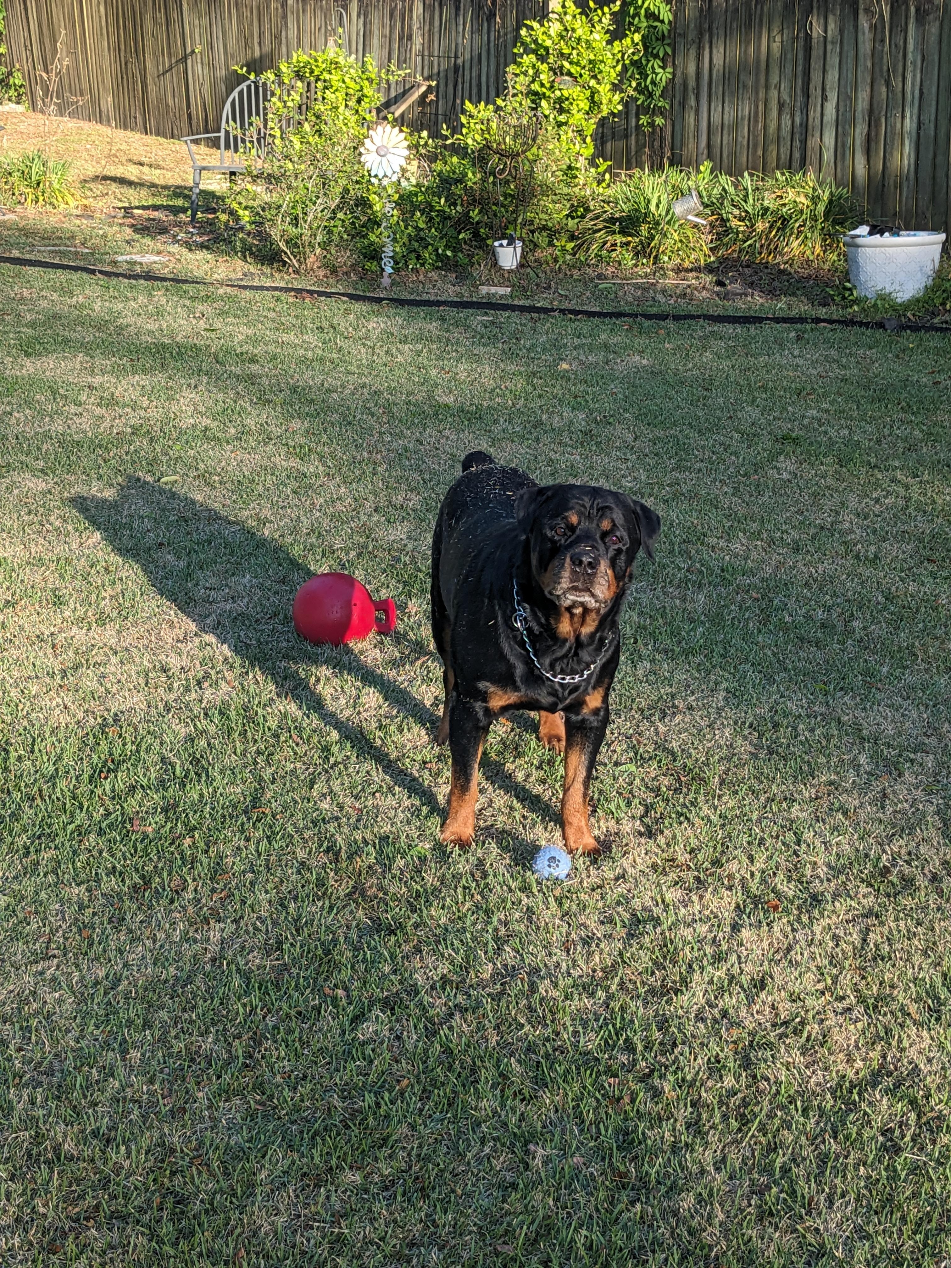 Bronx making use of the toys. 