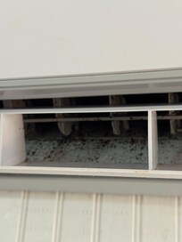 Air Conditioner full of mildew