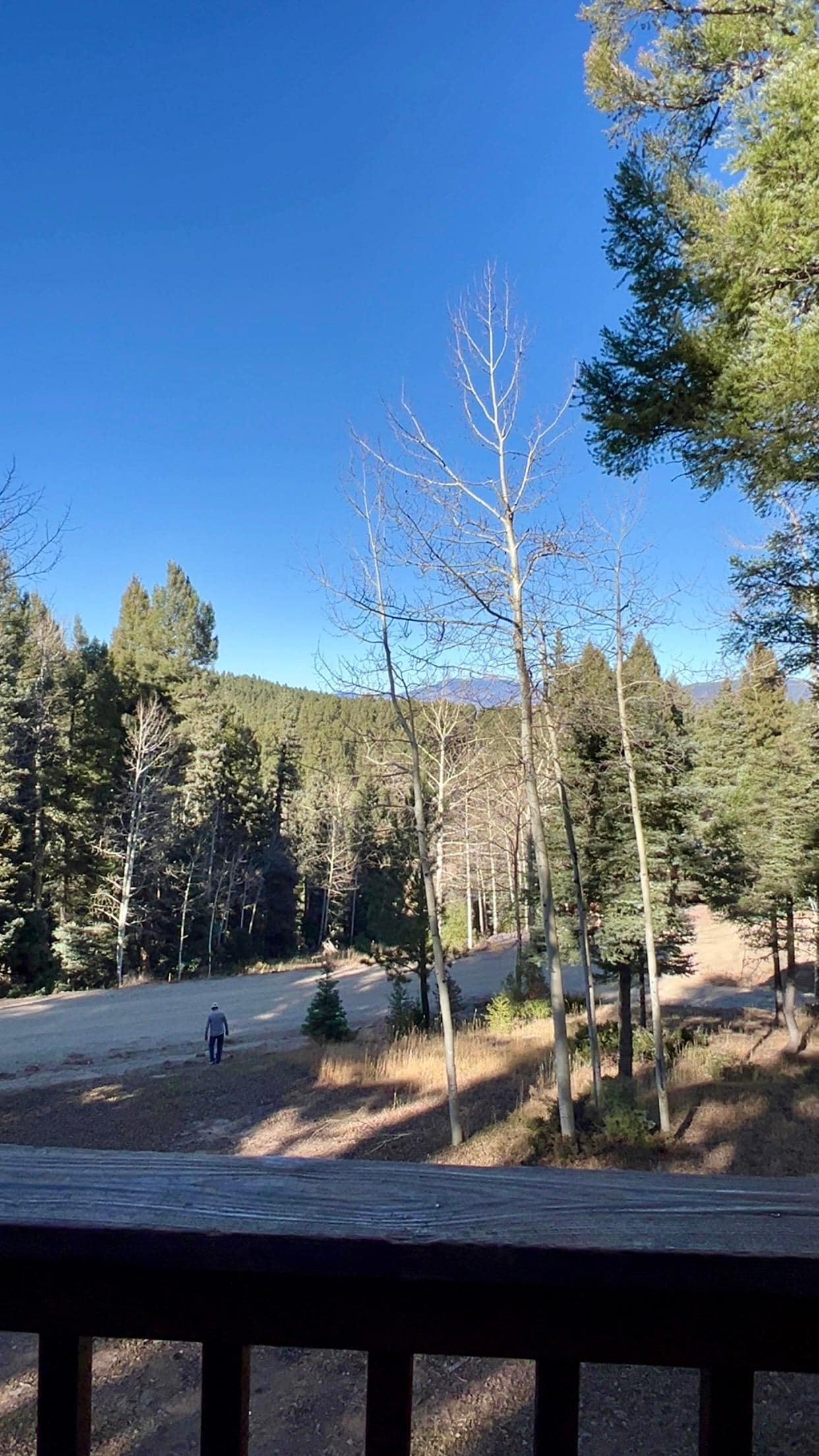 The view from the deck. 