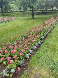 Some of the garden at Leighton Dillman Park.