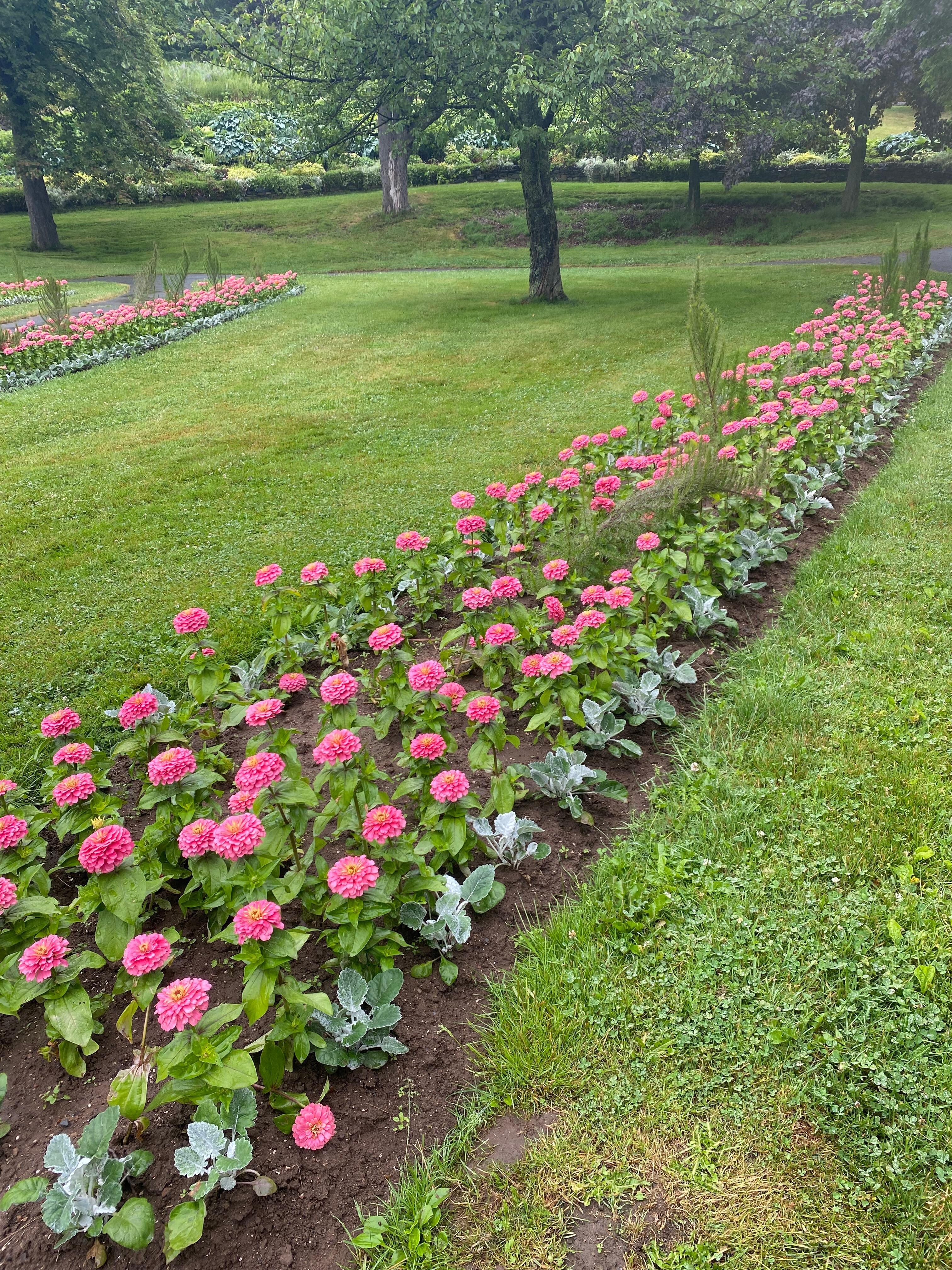 Some of the garden at Leighton Dillman Park.