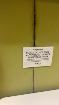Mold coming from the wall - unsanitary conditions