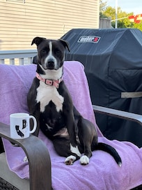 Annie really enjoyed her morning coffee on the back deck! đ