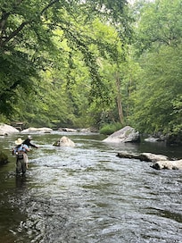 Just one of the nearby streams