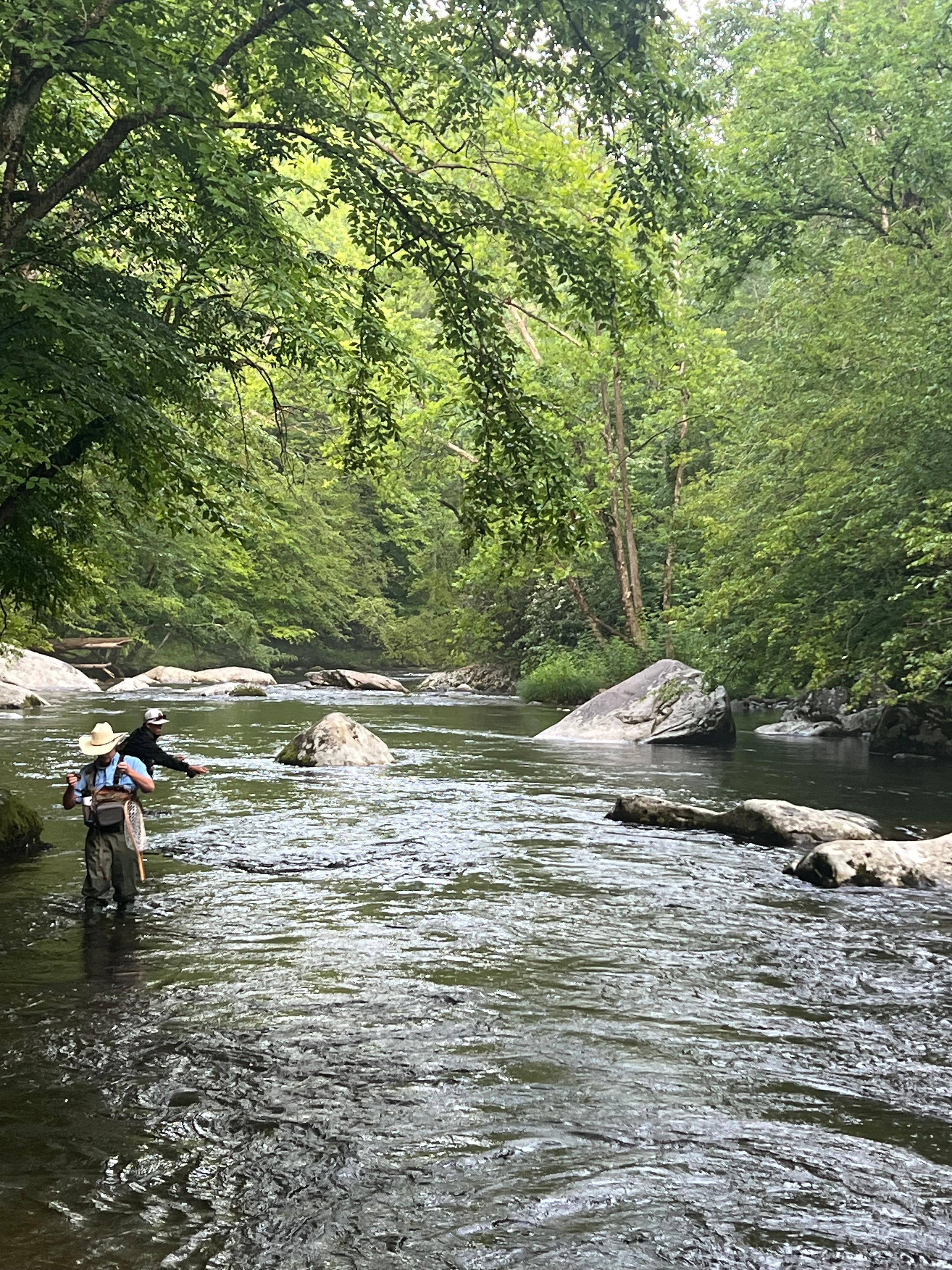 Just one of the nearby streams