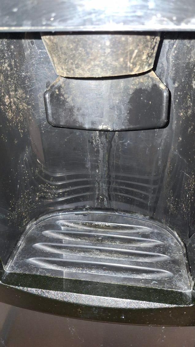 Ice dispenser looked as it had mold growing on it 