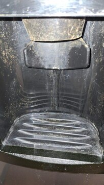 Ice dispenser looked as it had mold growing on it