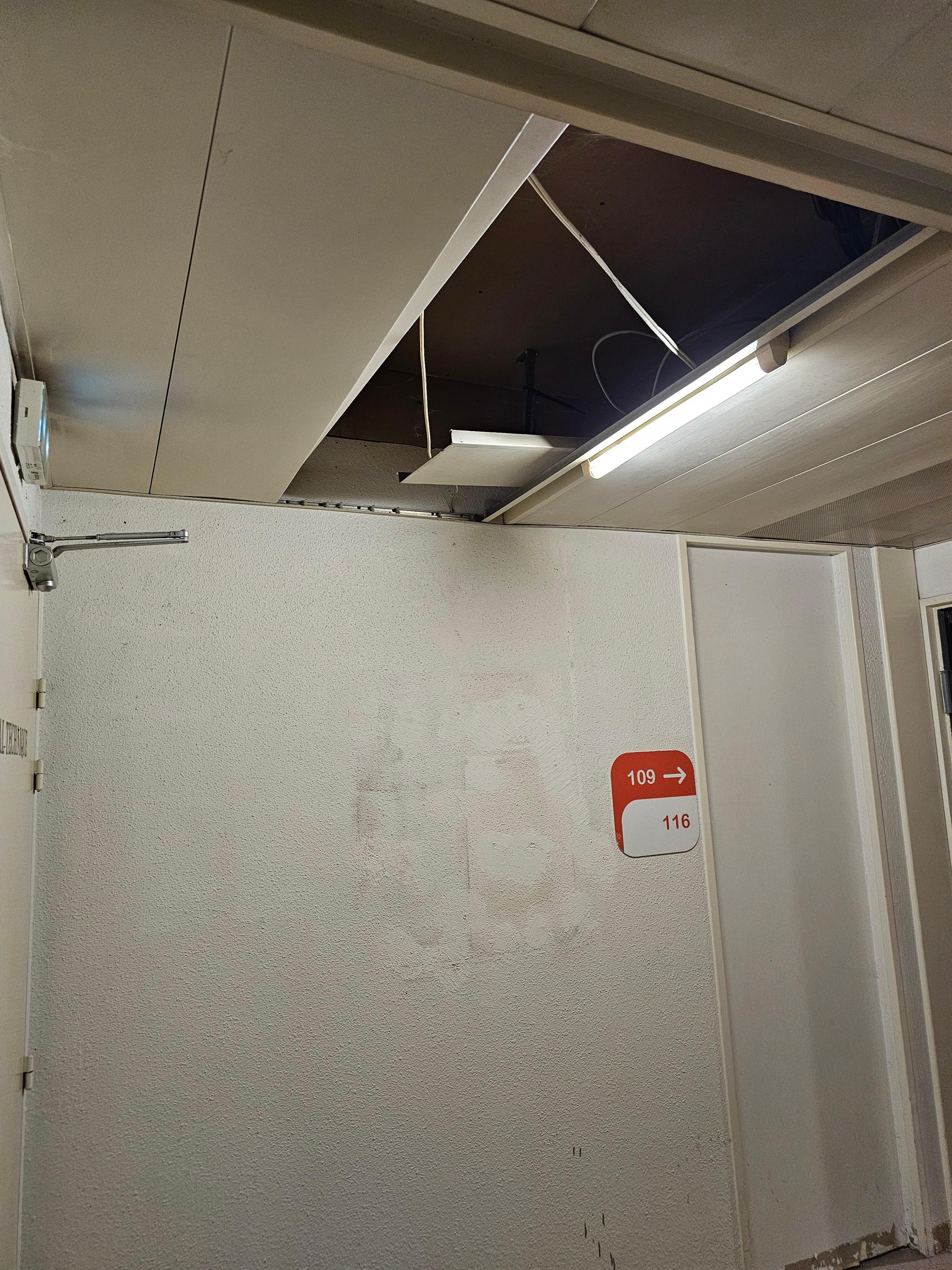 plafond partie commune