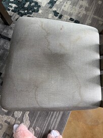 Dining chair filth all 8 of them