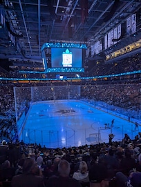 Went to a Toronto game,go train very close