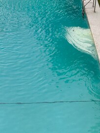 The pool with collection of suds