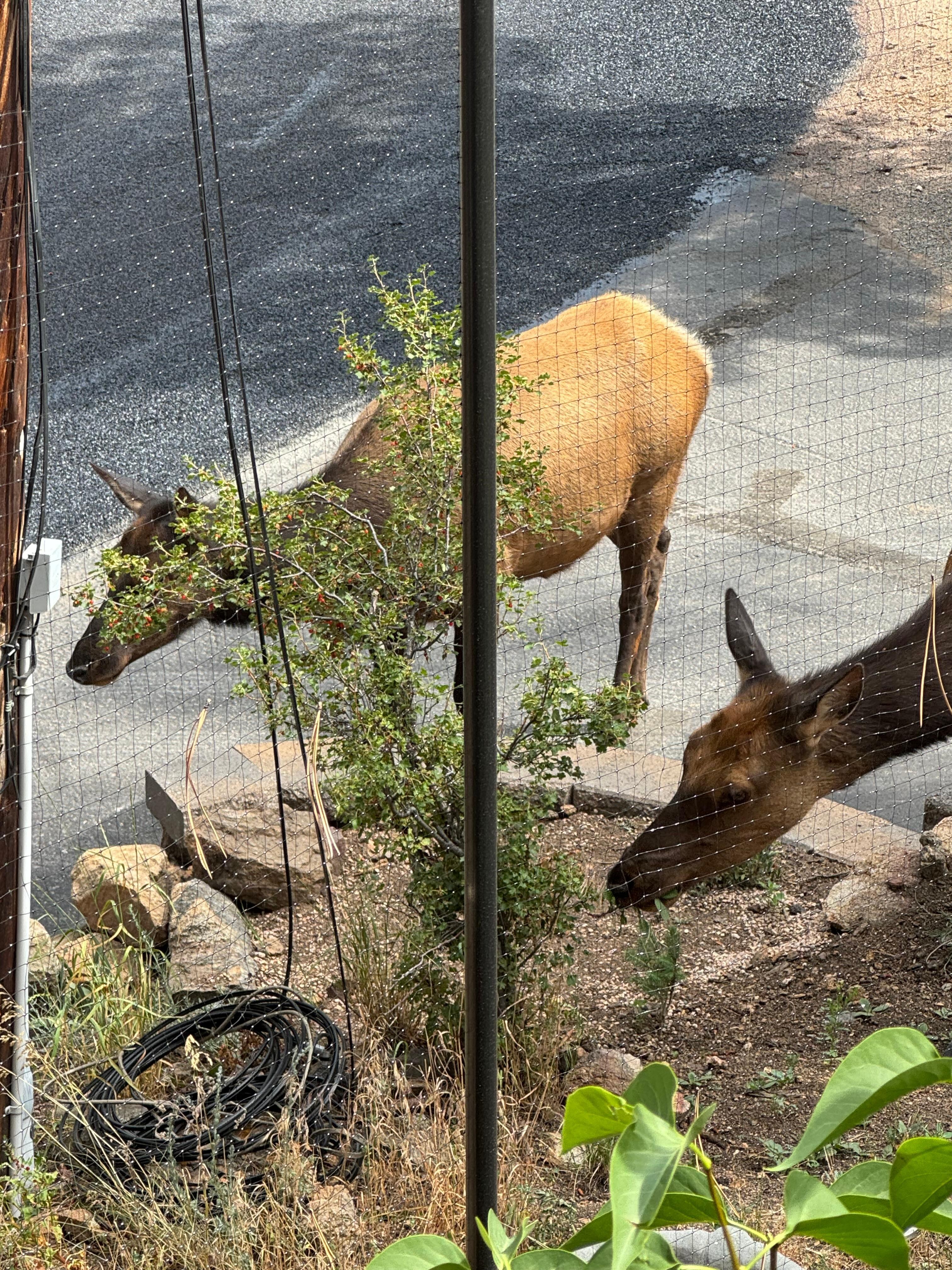 More nature visits. 